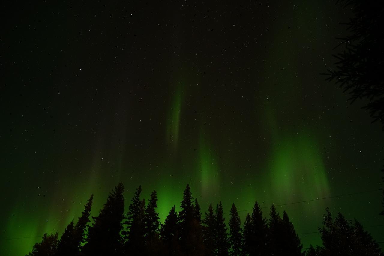 Yellowhead Motel Valemount Zewnętrze zdjęcie